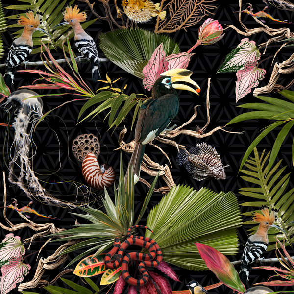 Wonderland Jungle Exotic Wallpaper Holden Black Birds Animals
