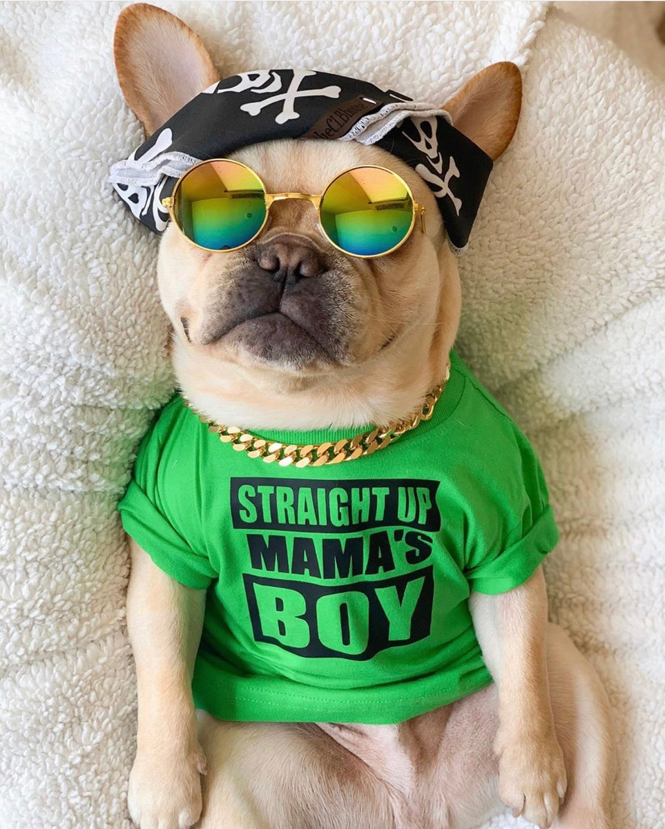 straight up mama's boy dog shirt