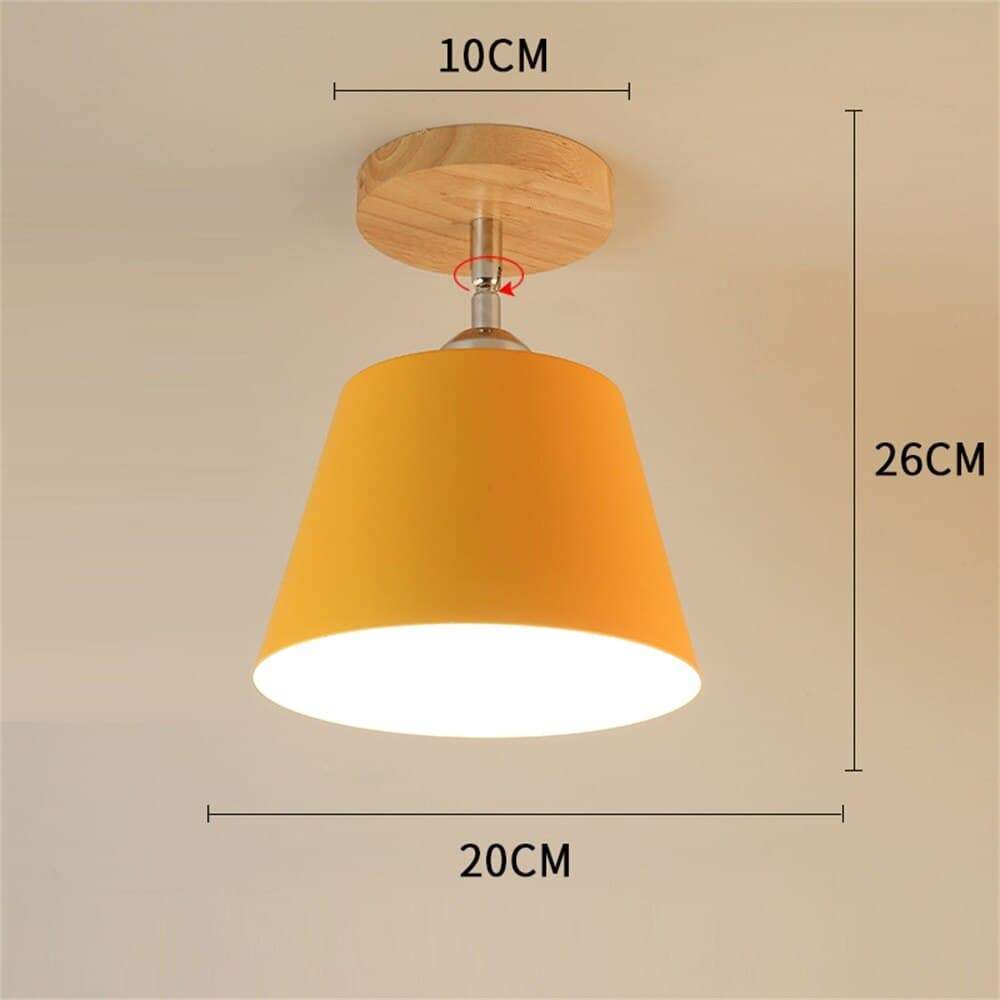 orange flush ceiling light