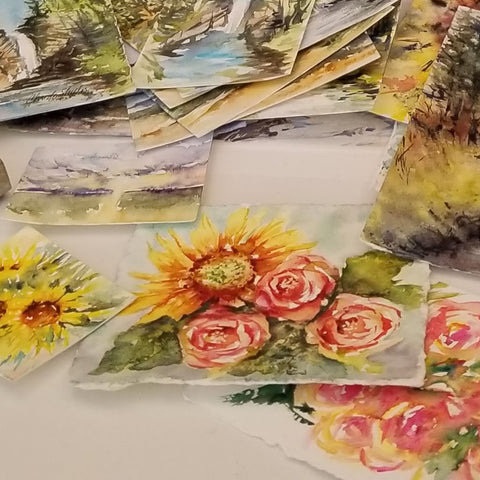 Completed watercolor paintings.  ©Christy Sheeler 2020