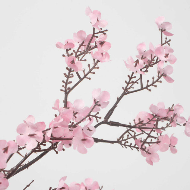 pink cherry blossom flower branch