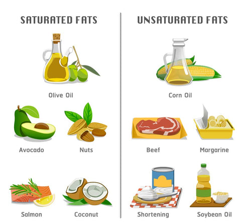 Saturated vs. Unsaturated Fats | Pure Life Science