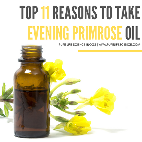 Top 11 Reasons to Take Evening Primrose Oil Blog | Pure Life Science