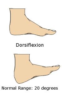 dorskiflexion