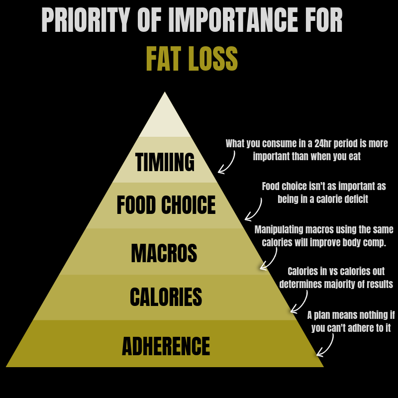 Priority of Importance For Fat Loss