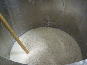 The mashing of the sake rice