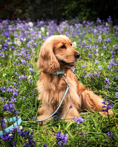 Kimberley Garner_Sasha in Coastal Blue_Barc London