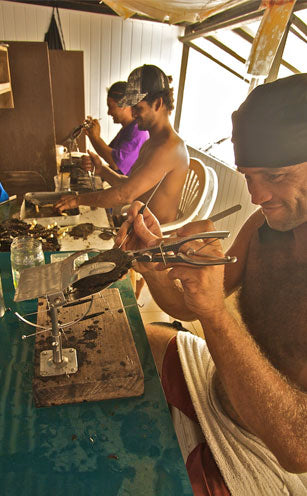 Grafting Tahitian pearls at Kamoka