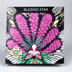 Blazing Star Art Pack