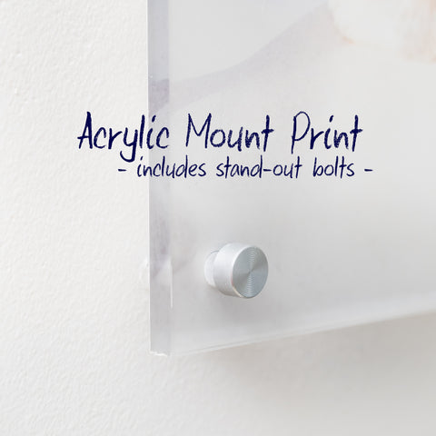 acrylic mount print wall art product description close up detail photo image