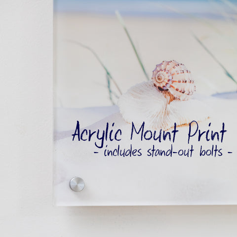 acrylic mount print wall with stand out bolt product description julie sisco photography north stradbroke island
