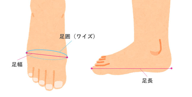 【保存版】自分の足のサイズ知ってますか？今更聞けない正しい足サイズの測り方！：ブログ ｜ パンプス通販のmamian（マミアン）公式サイト