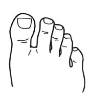 9cm pointed toe series ♡ A thorough explanation of the sense of size!