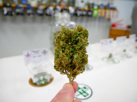 Cherry Wine Hemp Flower