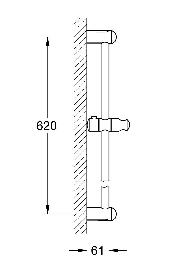 zwanger zeven Bandiet Grohe Tempesta New glijstang 60 cm – WoonWijzerWebshop