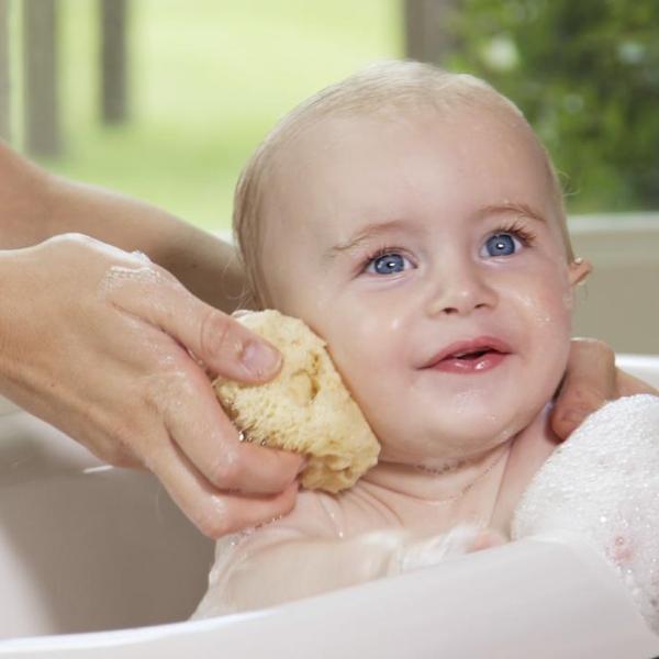 natural sea sponge baby