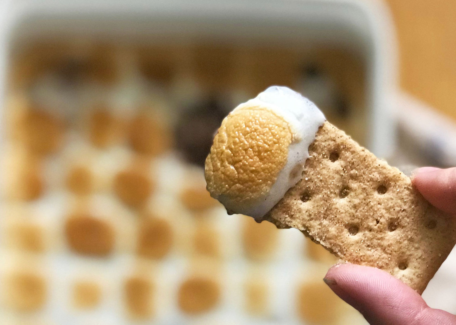 Salted Almonds S'mores Dip Article