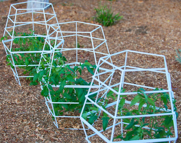 Terra Trellis Geo Tomato Cage modern tomato cage organic garden