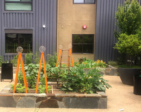urban community garden vegetable beds