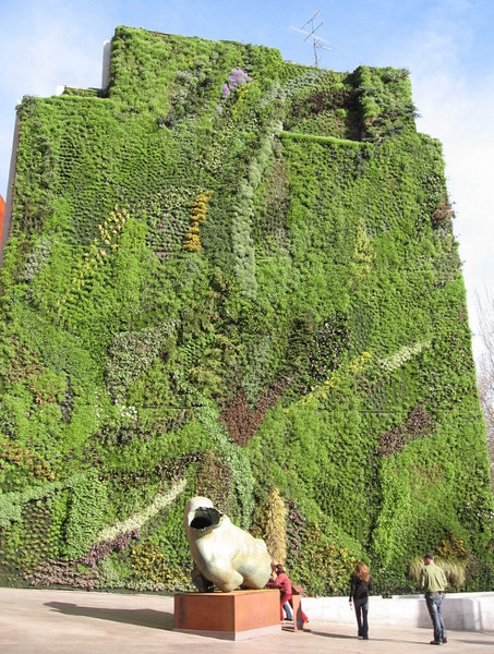 vertical garden green wall Patrick Blanc