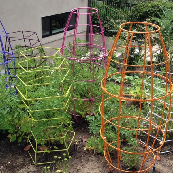 colorful strong modern tomato cage