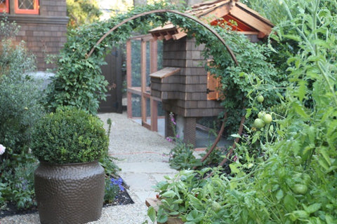 edible organic veggie garden potager chicken coup