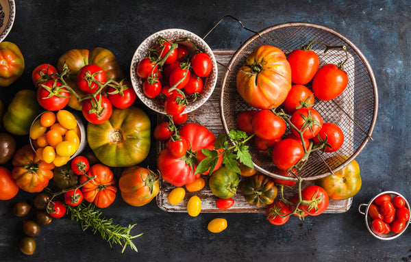 organic tomato varieties 