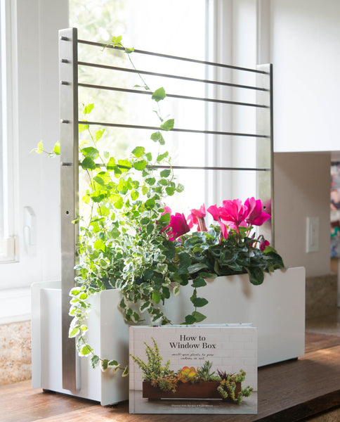 modern window box trellis The Horticult