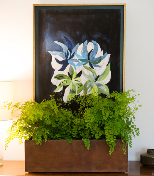 modern planter window box maidenhair fern