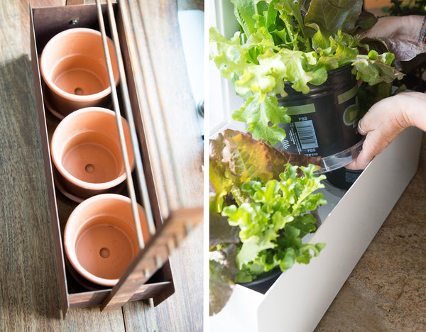 modern window box planter