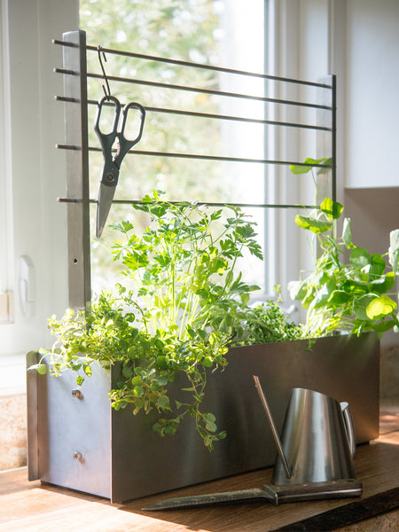 modern window box container herb garden