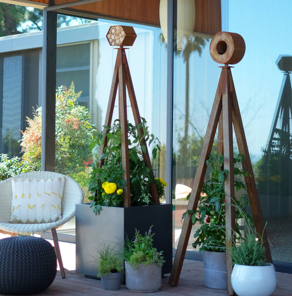 modern container garden patio edible garden