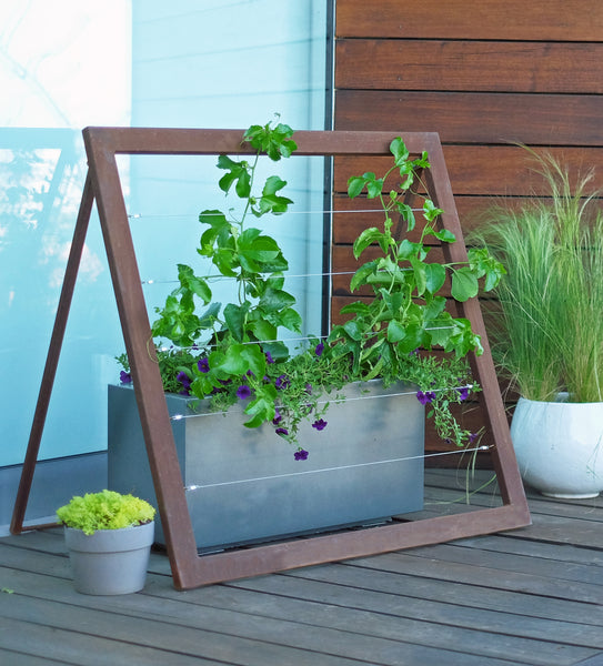 modern urban veggie garden  deck