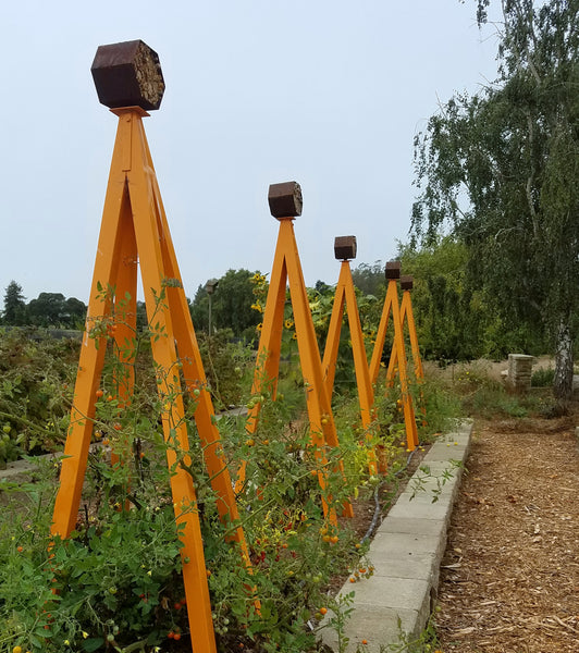 modern organic tomato garden trellis