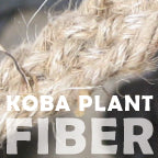 Koba plant fiber