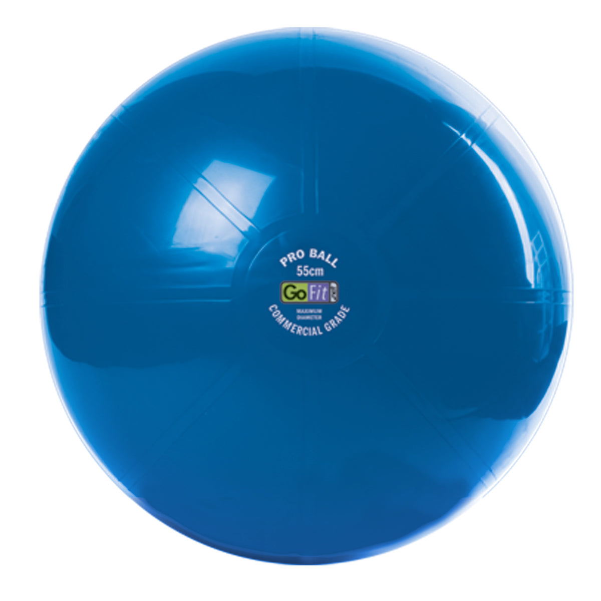 Super Ball Commercial Grade Stability Ball Gofit Net