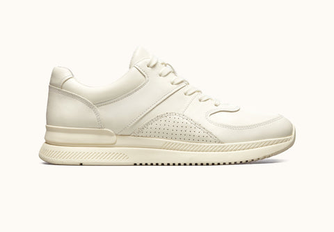 The Trainer Sneaker from Everlane