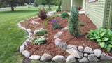 Ground cover shrubs in a bed mulched with straw and bordered in gret stones.