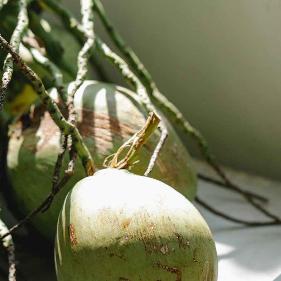 Benefits of coconut water