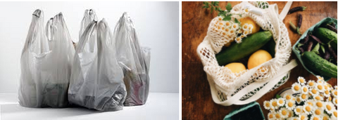Shopping Bags Plastic Vs Sustainable Alternative