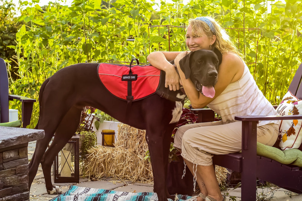 Natural anti-inflammatory for dogs: A woman hugs her large breed dog