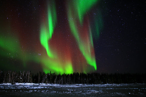 Yukon Aurora Borealis - March 2016