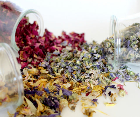 Aromatherapy-Herbs-IJWDC