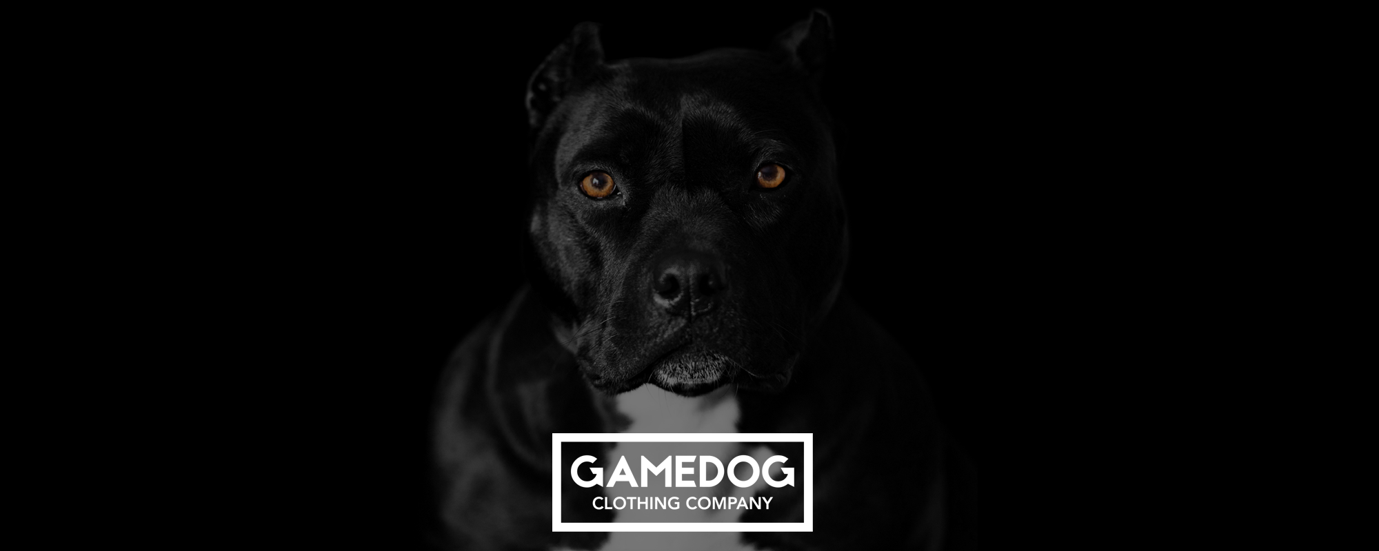 Gamedog Clothing Co header