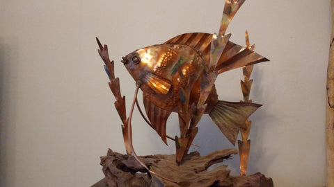 Copper angel fish