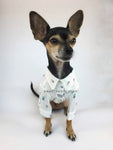 Pineapple Express Shirt - Full Front View of Cute Chihuahua Dog Wearing Shirt. Pineapple Print Shirt