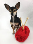 Christmas Red onhealthcoachsnood - Yarn with Cute Chihuahua Dog. Bright Red Color Dog Snood with Accent Button