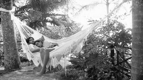 Couple relaxing in hammock together