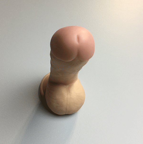 Realistic Suction Cup Toy