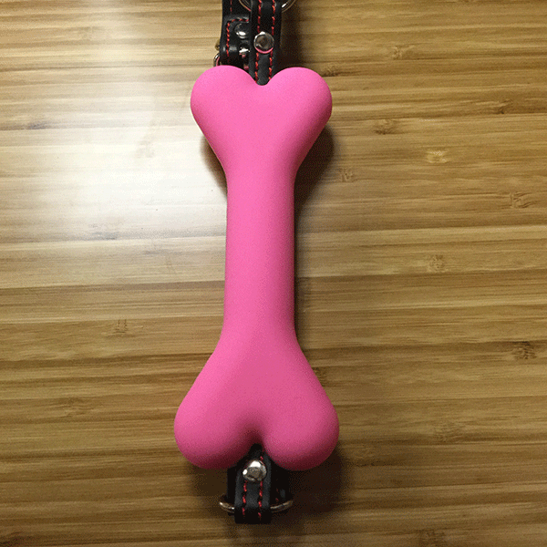 Plastic Pink Bone Gag